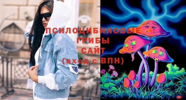 apvp Вязники